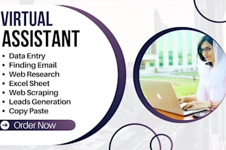 find the email, phone, address, websites excel data entry