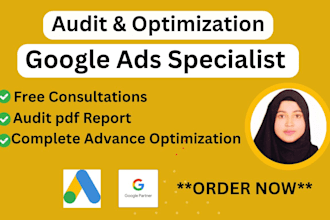 audit and optimization google ads adwords campaign for local business