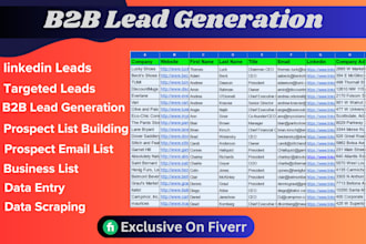 do b2b lead generation, linkedin leads and data entry