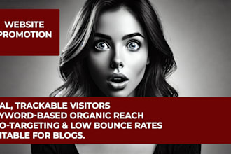 promote your website to my audience