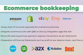 be your ecommerce bookkeeper, accountant for amazon, shopify