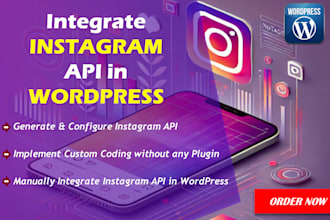 manually integrate facebook meta instagram API in wordpress without plugin