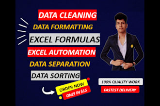 fix your broken excel file, clean, sort, format, and automate it