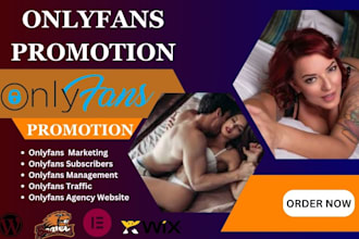 design onlyfans agency website, wordpress website, promotion, management website