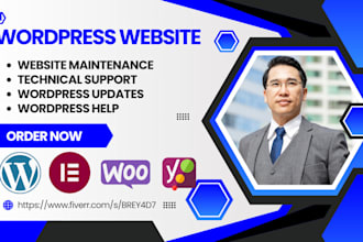 provide website maintenance bug fix issue edit wordpress support update and help