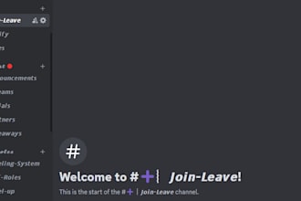 create you a custom discord server