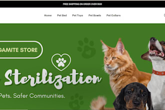 boost shopify store sales shopify dropshipping marketing shopify store promotion