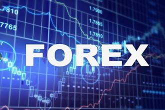 generate high quality forex leads for your trading business