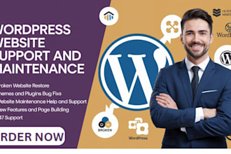 do wordpress website maintenance, support for your wordpress website