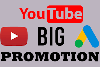 do big audience organic youtube video promotion