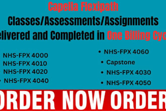 do capella flexpath rn to bsn msn dnp nursing assessment in one billing cycle