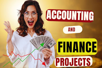 do excel spreadsheet accounting finance assignment data analysis research task