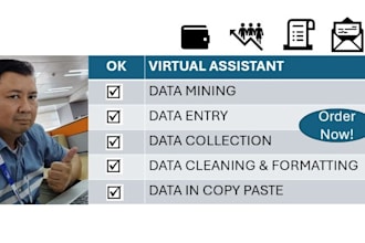 do your virtual assistant for data entry and admin tasks
