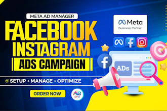 expertly setup and manage meta ads campaign to boost sales