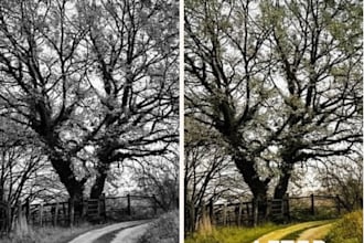 recolor and improve qualities of  nature photos