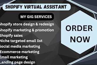 build shopify store virtual assistant product listing ecommerce marketing