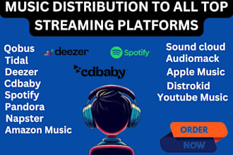 distribute your songs digitally to all music streaming platform spotify cdbaby