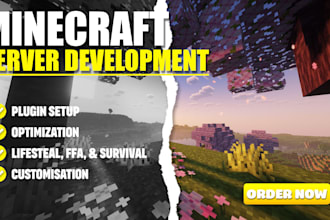 develop a minecraft server for you as your likings