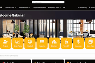 develop custom sharepoint sites and intranet portals