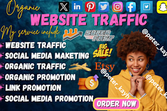 do website promotion, social media ads campaign to increase website traffic