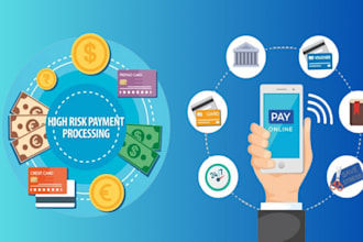 setup high risk payment gateway,2d 3d payment gateway, payment processor