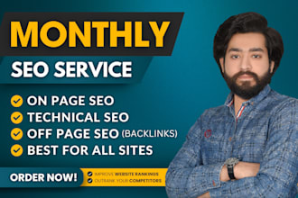 provide monthly SEO service with high quality backlinks