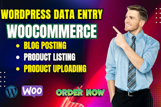 do SEO for woocommerce product listing and uploading, wordpress data entry