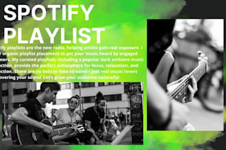 add your song to a curated spotify playlist for real streams