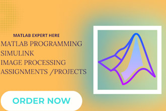 do your matlab, matlab simulink,  gui, task and projects