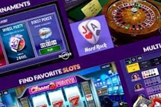 staking bet site poker crypto game  crash game rummy slots app teen patti site