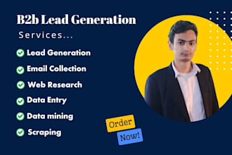 b2b lead generation and efficient data entry services