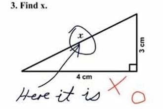do your math homework