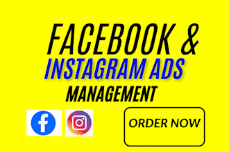 run facebook ads, instagram ads, fb ads manager,  ads campaign, meta ads