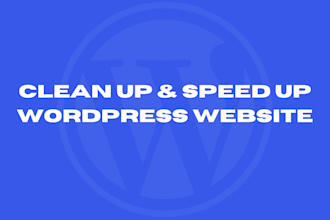 cleanup and speed up your wordpress website