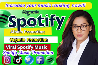 pitch your music to my personal network, organic spotify music promotion