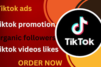 do USA tiktok shop, tiktok promotion, tiktok monetization, grow tiktok followers