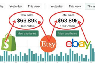 do ecommerce shopify marketing etsy promotion drop shipping ebay promotion