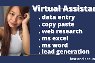 be your virtual assistant for data entry, web research