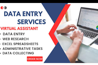 be data entry, typing, inpage and from filling