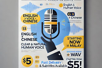 provide voice translation in english, chinese, and malay