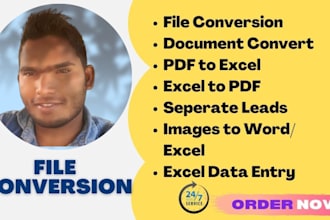 do fast data entry and convert PDF, excel, and word files