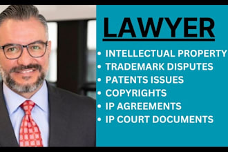 be intellectual property, trademark, patent and copyright infringement lawyer