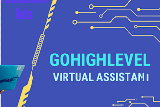 help with facebook ads and gohighlevel integration and automation