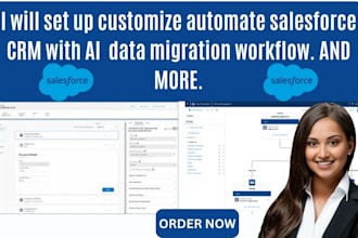 set up customize automate salesforce CRM with ai  data migration workflow