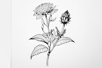 create a botanical black and white pen sketch
