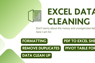 do data cleaning, analysis, pivot table