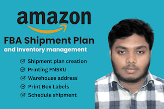 create a professional amazon fba shipment plan for you