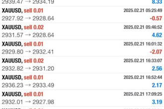 set up profitable forex trading bot, trading bot, forex ea bot forex trading bot