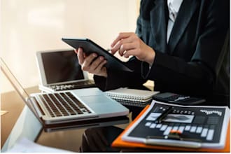 write report of financial analysis, finance, accounting tasks and assignments