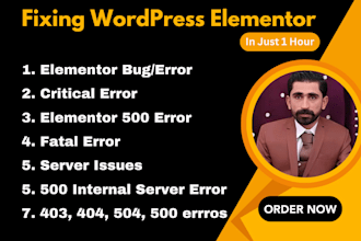 fix elementor issues, elementor bug, elementor error and elementor 500 error